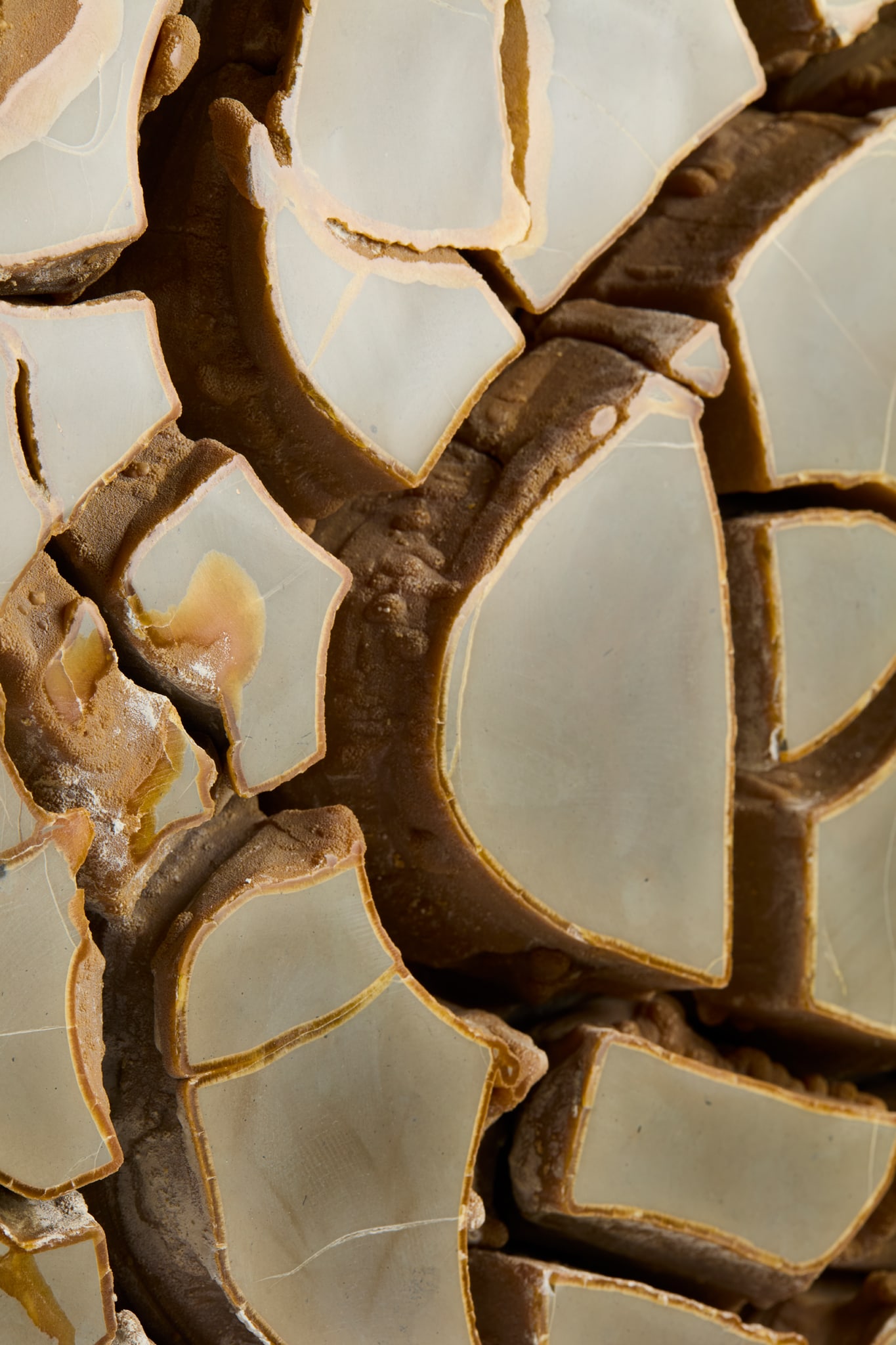 SEPTARIAN CONCRETION - 3