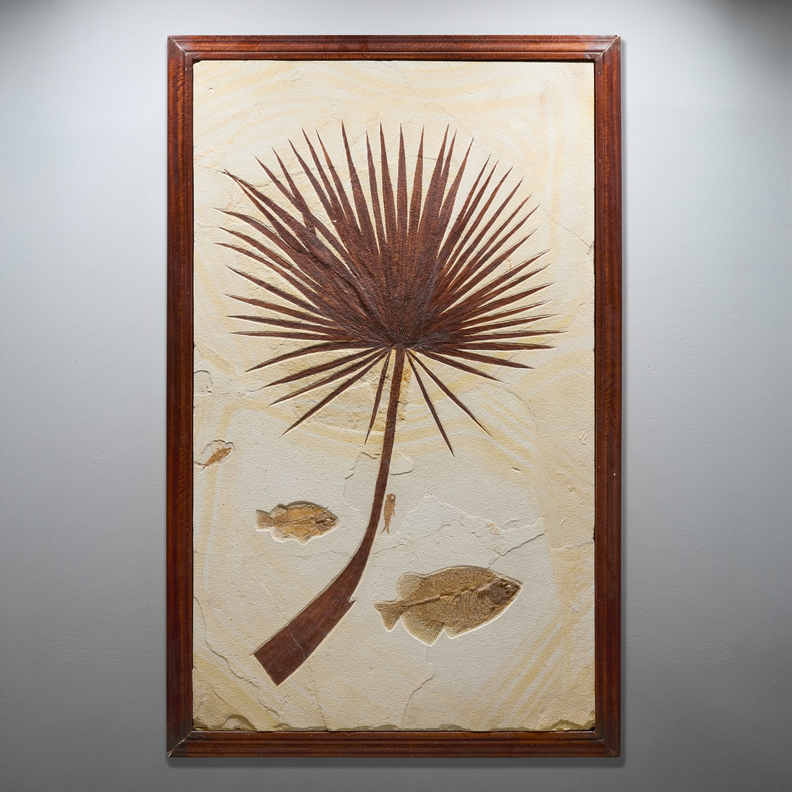 FOSSIL PALM FROND WITH FISH (1 of 7)