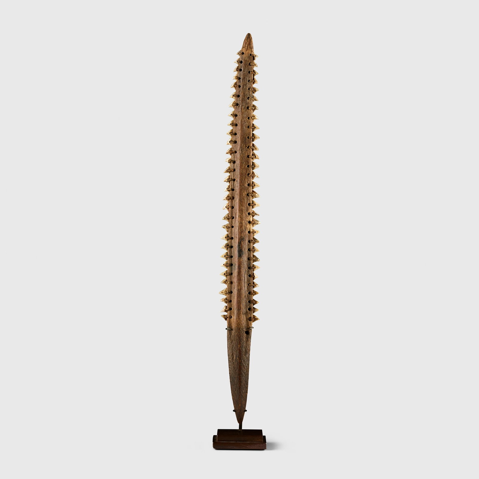 SHARK TOOTH SWORD: SHARK TOOTH SWORD KIRIBATI carved palm wood and shark tooth, the teeth set into precisely cut grooves running along each edge of the weapon, then secured with fibre cordplease note that this lot is be
