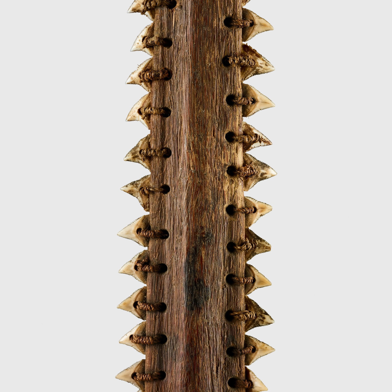 SHARK TOOTH SWORD - 3