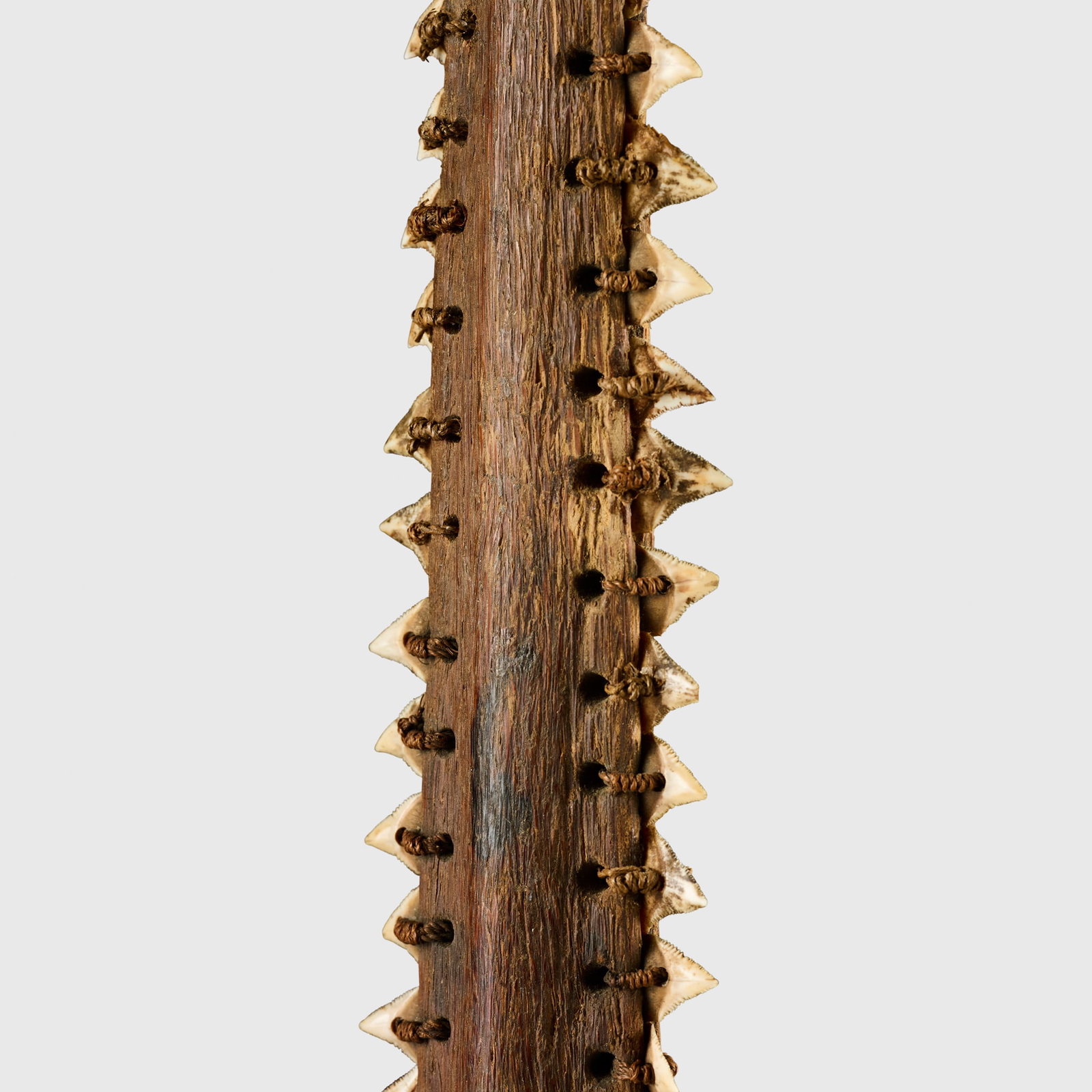 SHARK TOOTH SWORD - 4