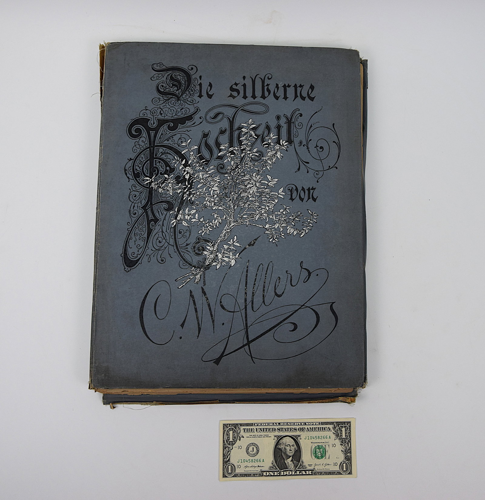 ANTIQUE DIE SILBERNE HOCHZEIT C W ALLERS ILLUSTRATED GERMAN FOLIO BOOK (1 of 10)