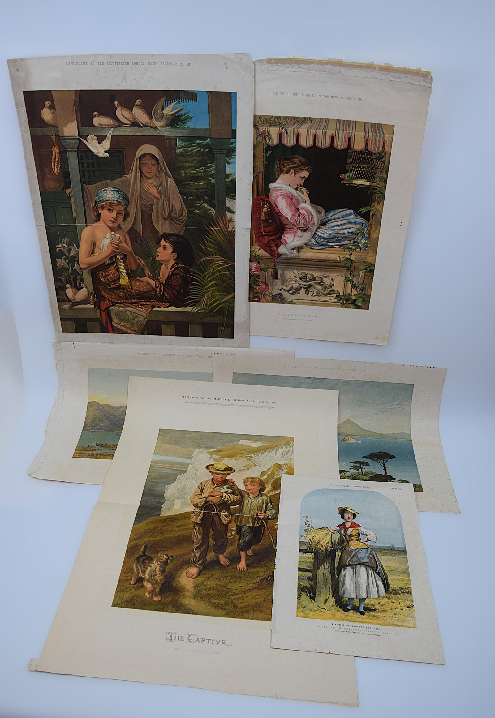 COLLECTION OF SIX 19TH CENTURY ILLUSTRATED LONDON NEWS HAND-COLORED PRINTS (1 of 19)