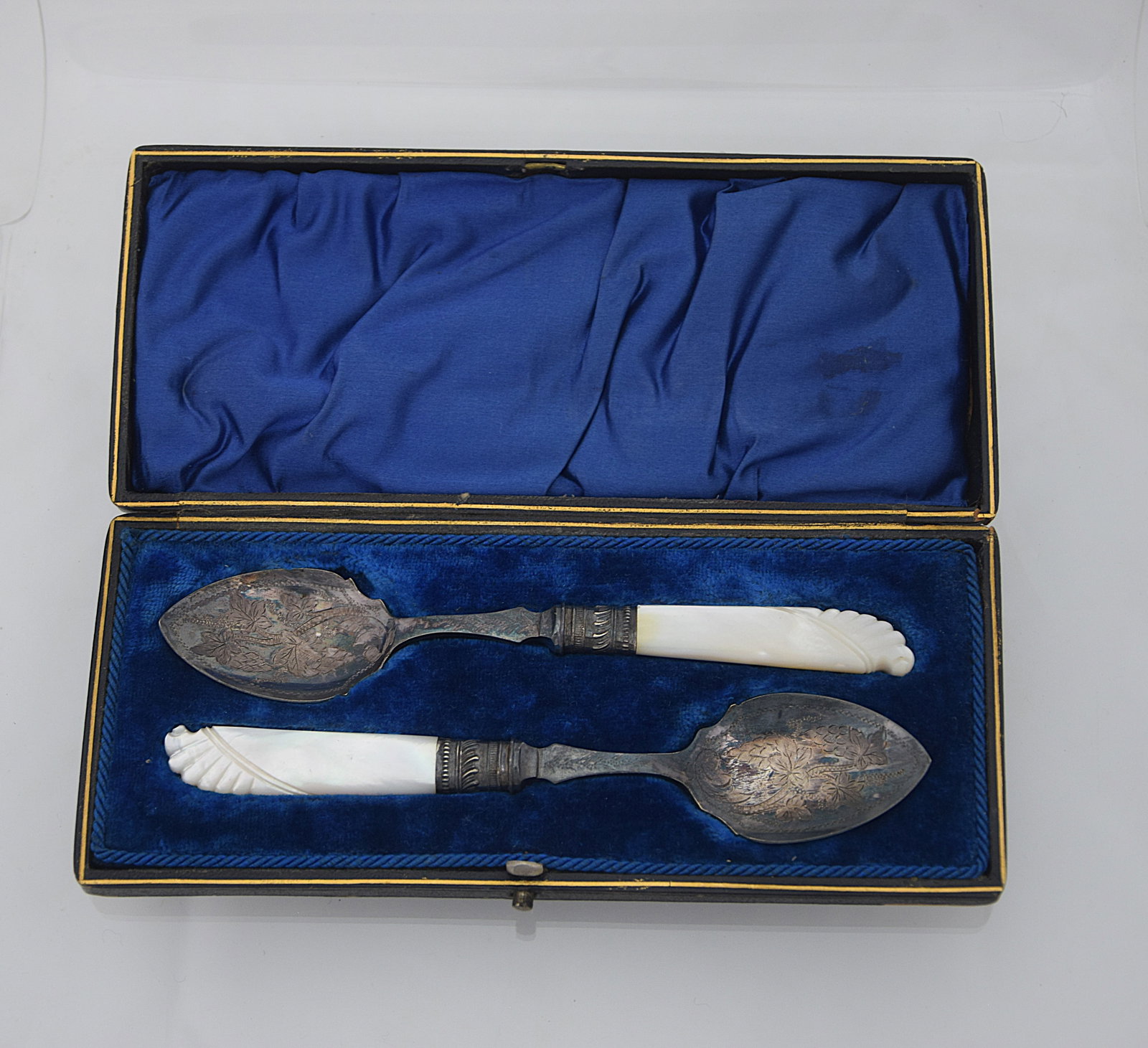 ELEGANT PAIR SILVERPLATE SERVING SPOONS MOTHER OF PEARL HANDLES CASED SET (1 of 7)