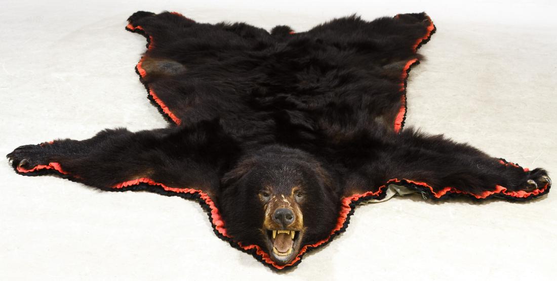 Black Bear Skin Taxidermy Rug Sep 17, 2017 Leonard Auction, Inc. in IL