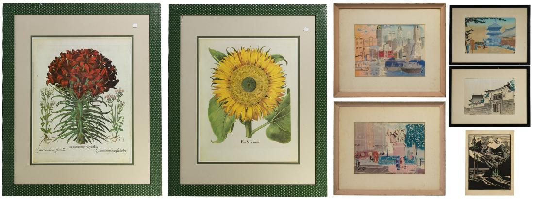 (After) Basilus Besler (German, 1561-1629) Botanical (1 of 19)