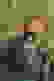 item-81728885=3
