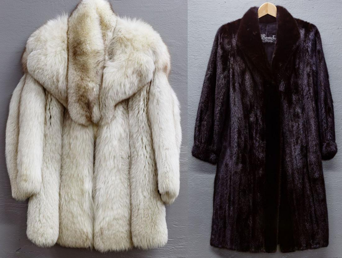 Silver Fox Jacket and Fur Assortment (1 of 6)