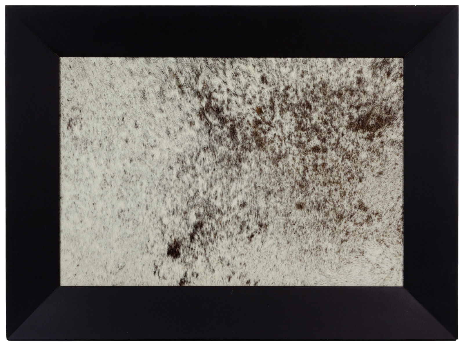 Tony Tasset (American, b.1960) 'Domestic Abstraction': Tony Tasset (American, b.1960) 'Domestic Abstraction' Natural Hide Sculpture 1986, signed en verso, natural hide mounted on board, including a black wood frame Condition: Very Good, no damage to hide