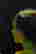 item-91509050=3