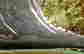 item-96431171=6