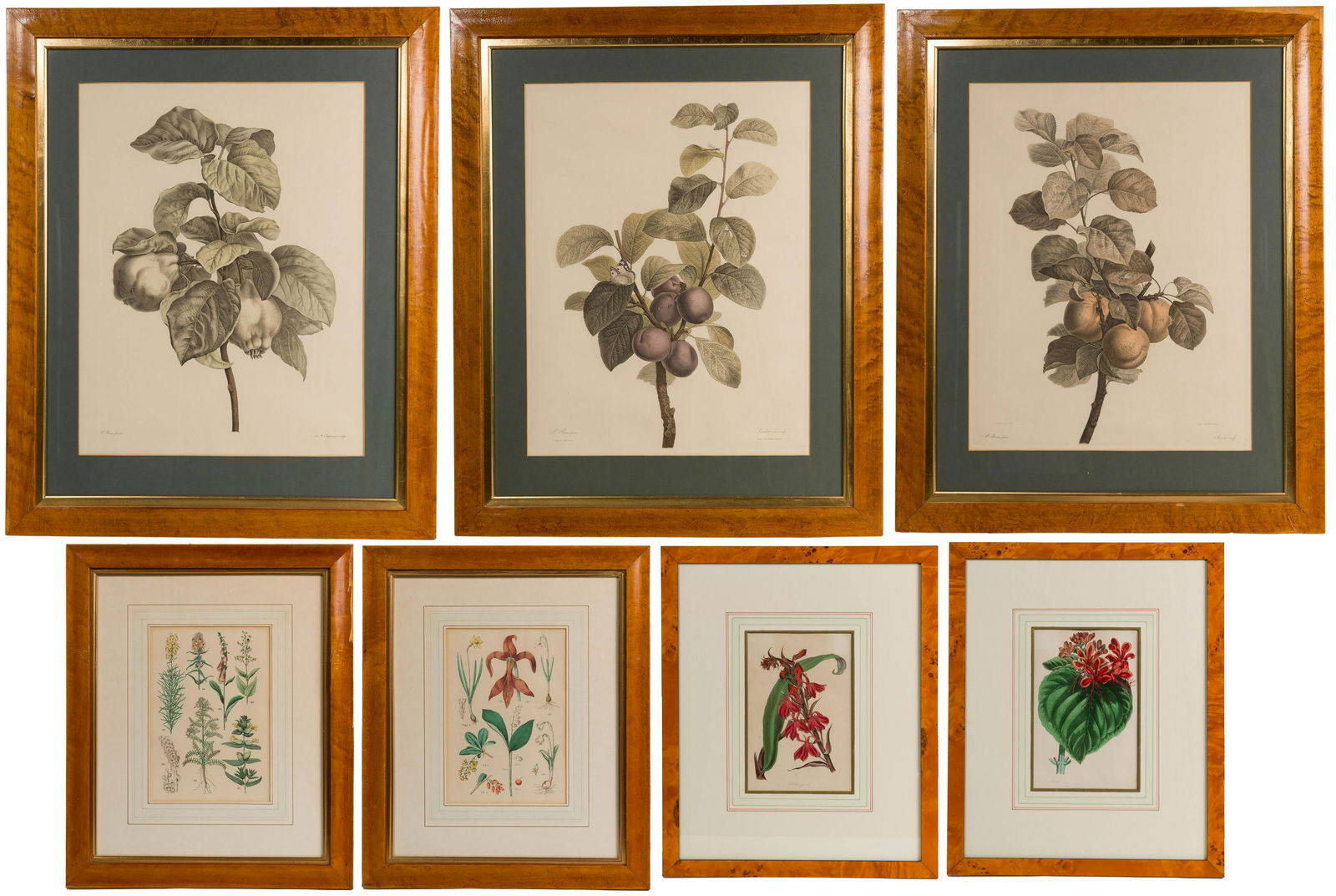 Botanical Print Assortment (1 of 20)
