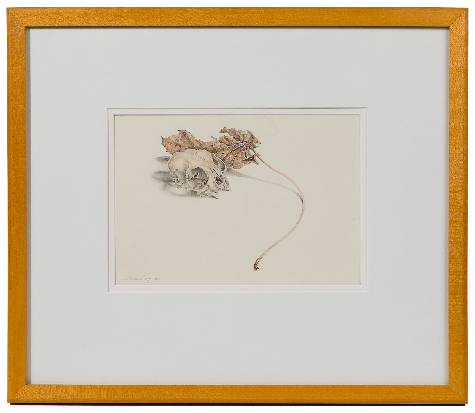 John Wickenberg (American, b.1944) 'Skull and Leaf': John Wickenberg (American, b.1944) 'Skull and Leaf' Graphite and Watercolor on Paper 1992, pencil signed lower left, double-matted behind acrylic in a wood frame bearing the artist informational label