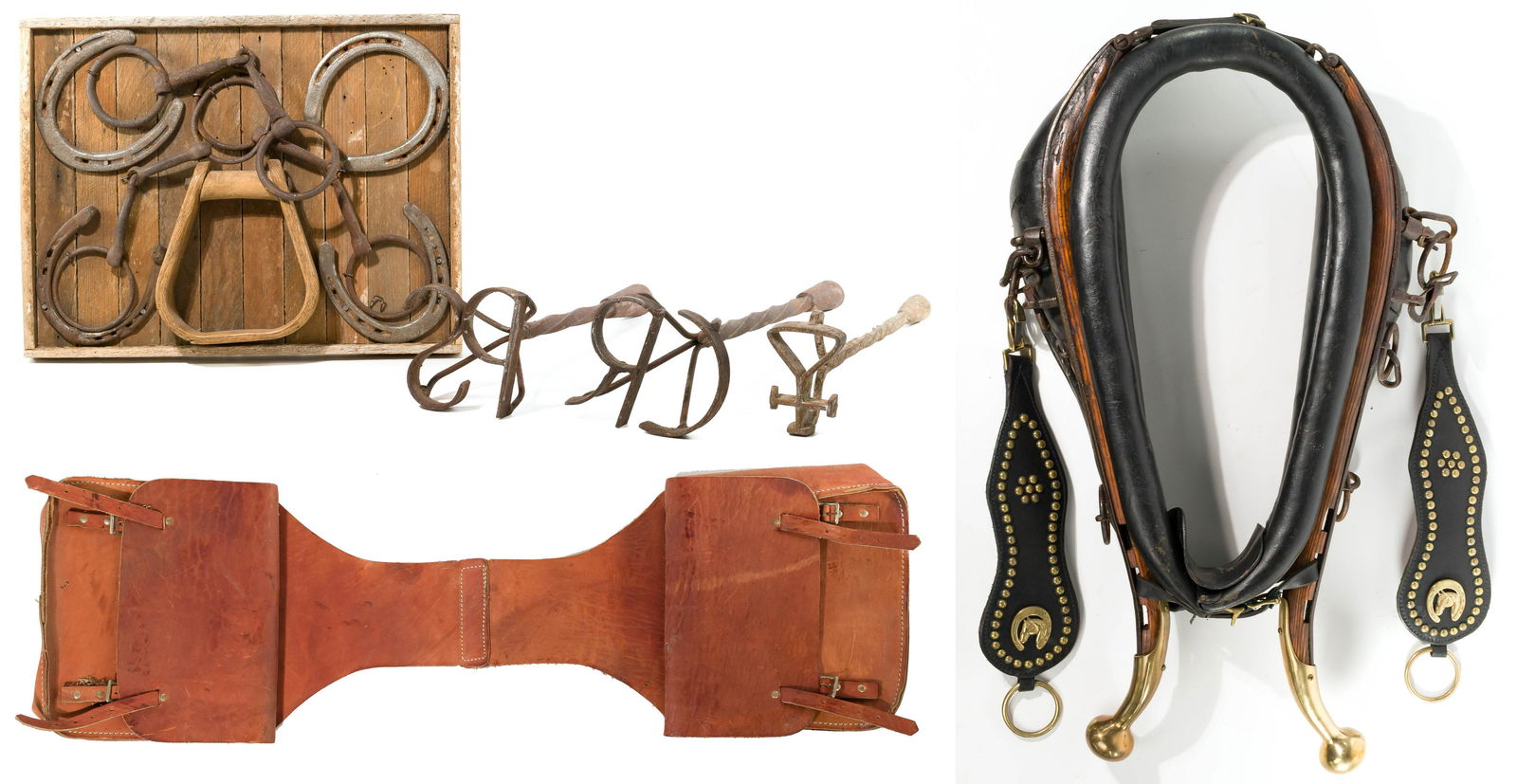Equestrian Assortment (1 of 4)