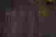 item-111349814=3