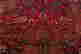 item-113360676=3