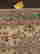 item-113360683=2