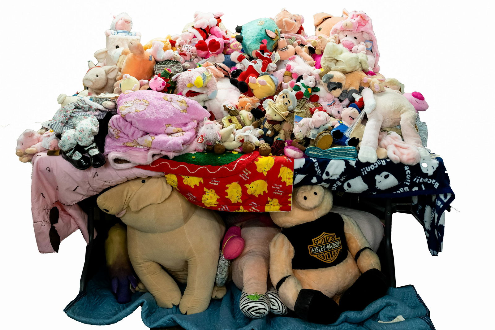 Pig Stuffed Animal and Book Assortment (1 of 5)