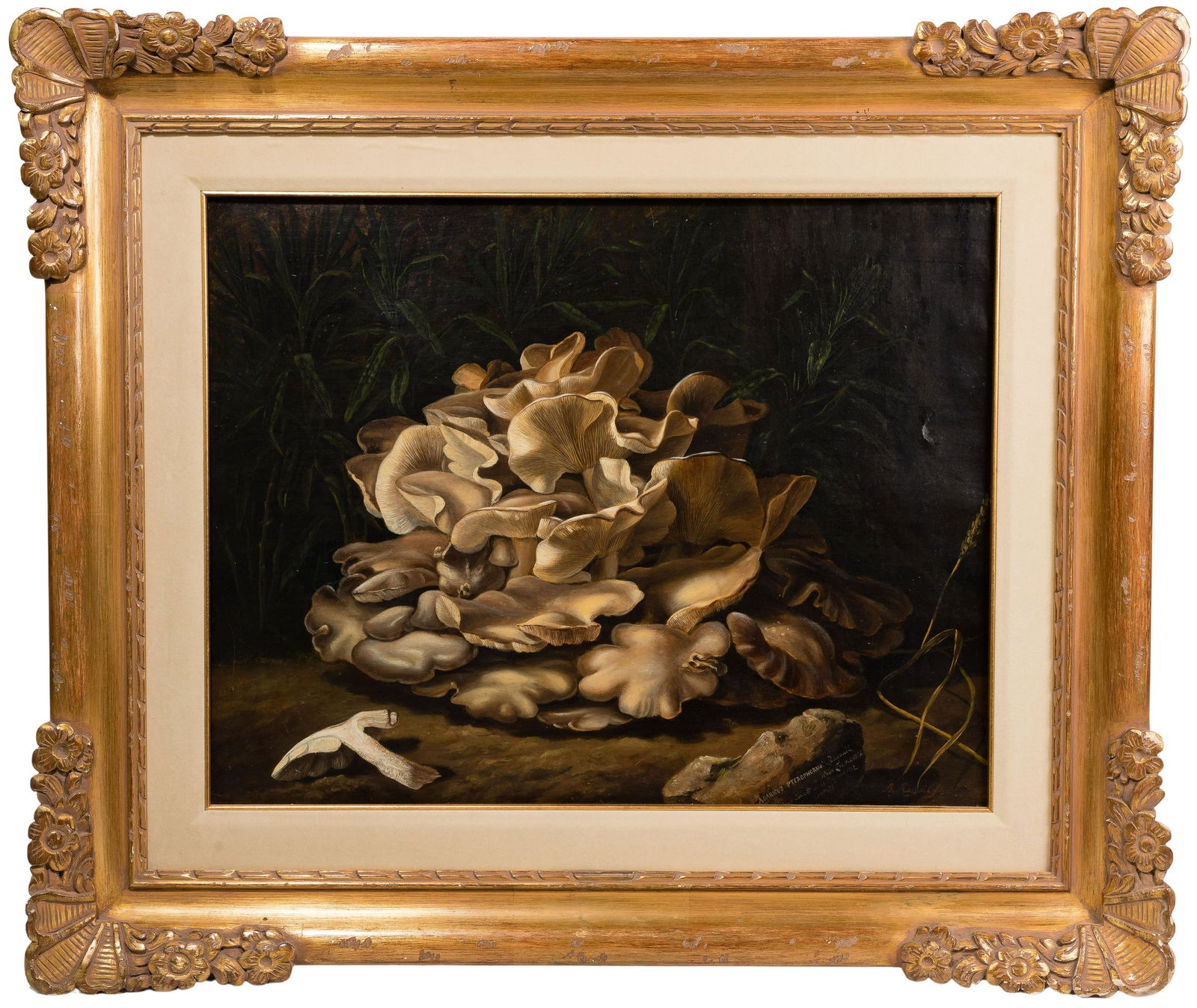 Benjamin Raspail (French, 1823-1899) 'Agaricus Pterophorus' Oil on Canvas (1 of 4)