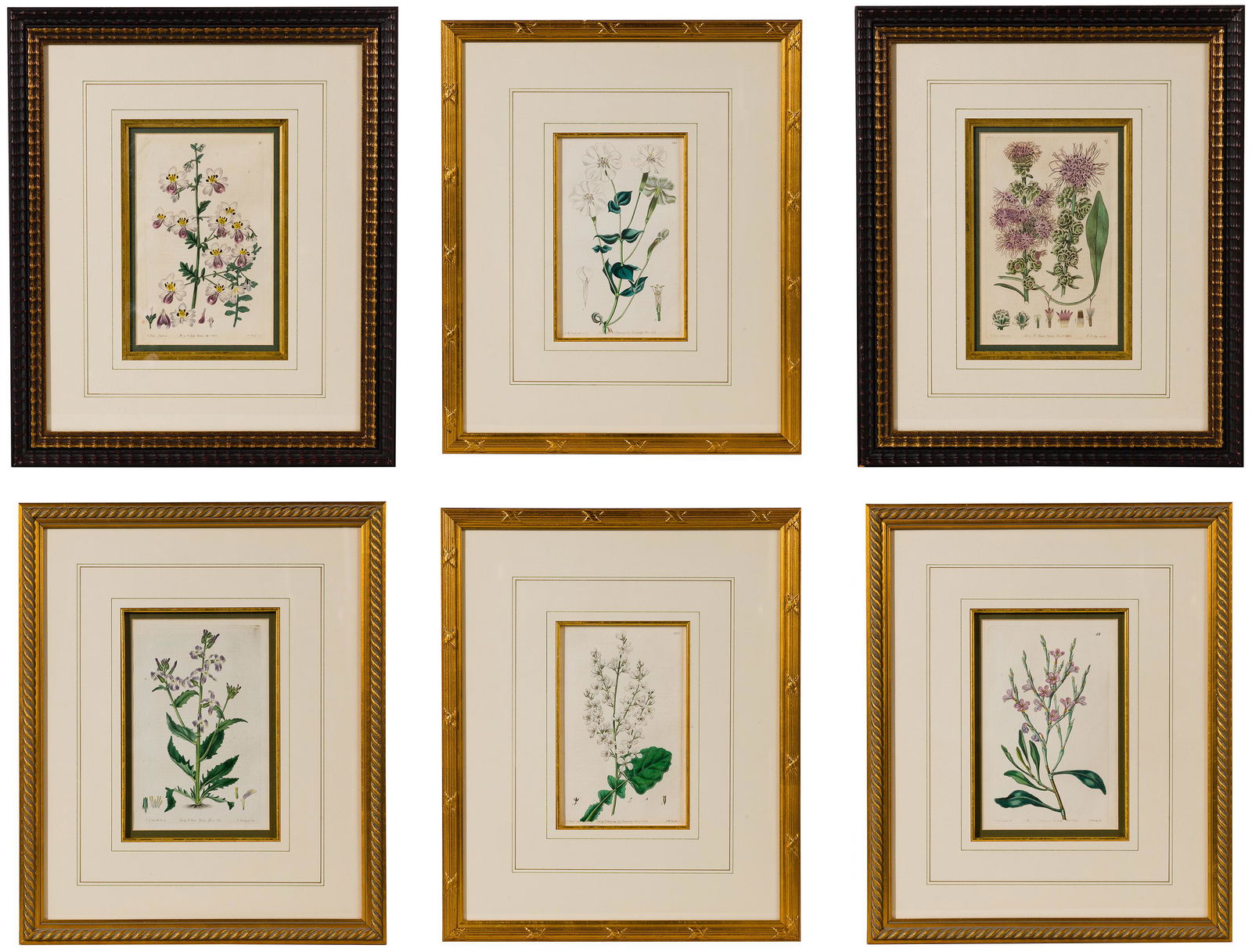 Botanical Etching and Print Assortment (1 of 7)