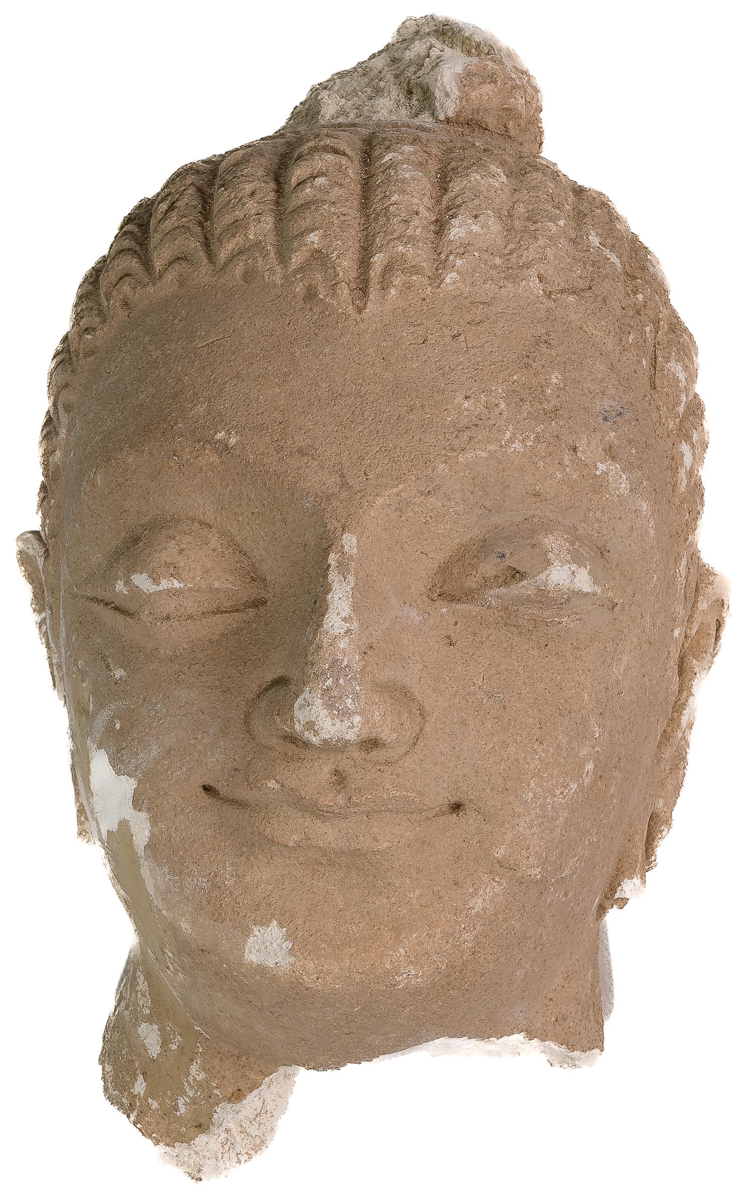 Pakistan Gandharan Stucco Buddha Head Statue (1 of 3)