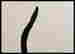 item-133786156=13