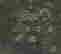 item-133786242=4