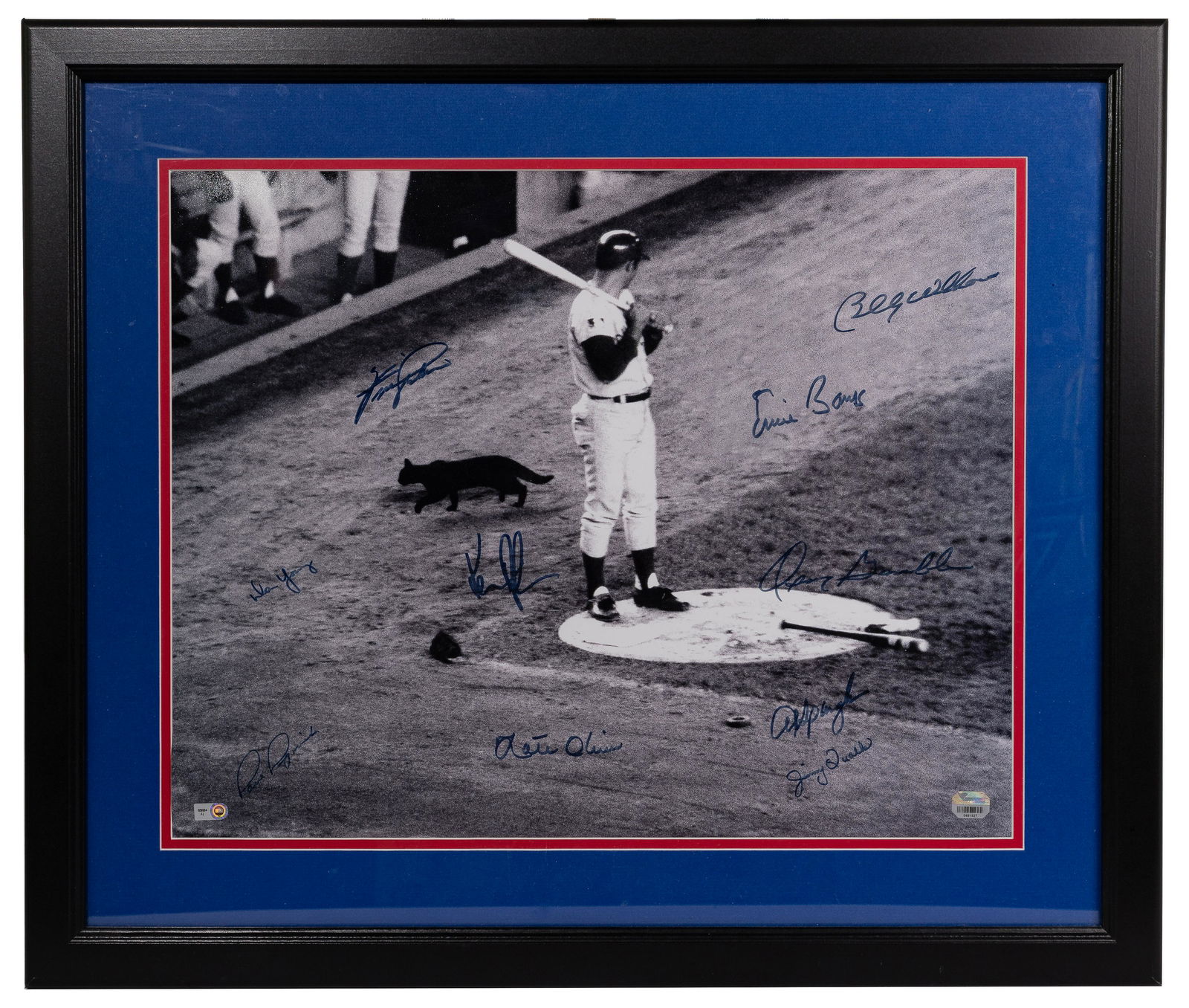 Chicago Cubs 'Black Cat' Autographed Photograph (1 of 2)