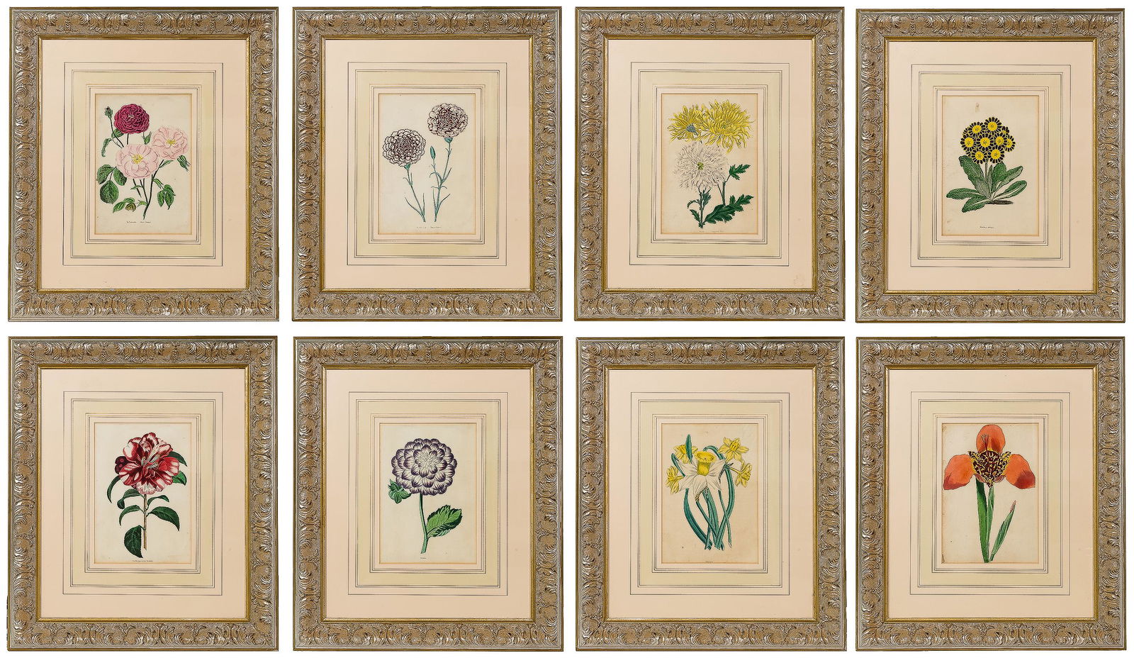 Botanical Framed Engraving Assortment (1 of 9)