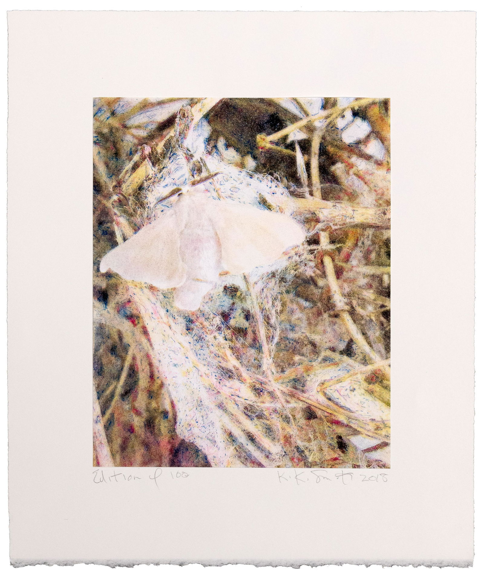 Kiki Smith (German / American, b.1954) 'Silk Moth' Risograph (1 of 3)