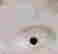 item-137248769=7