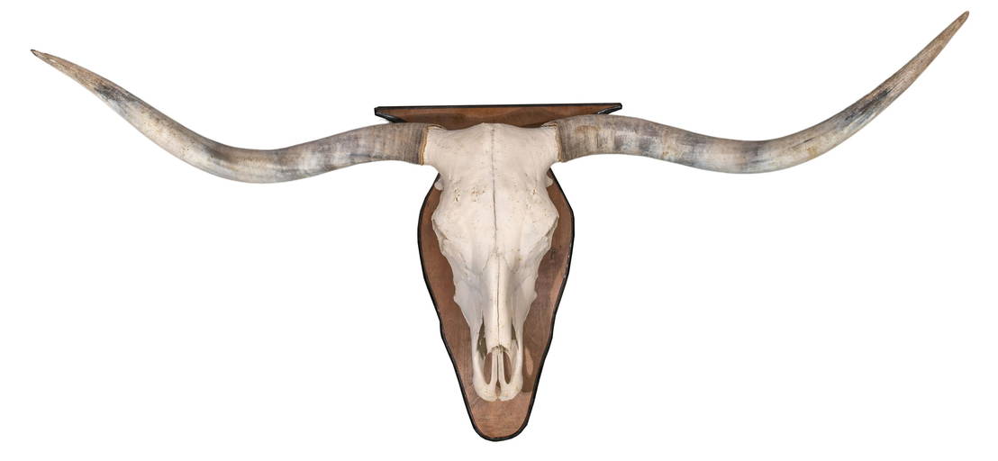 Longhorn Wall Mount