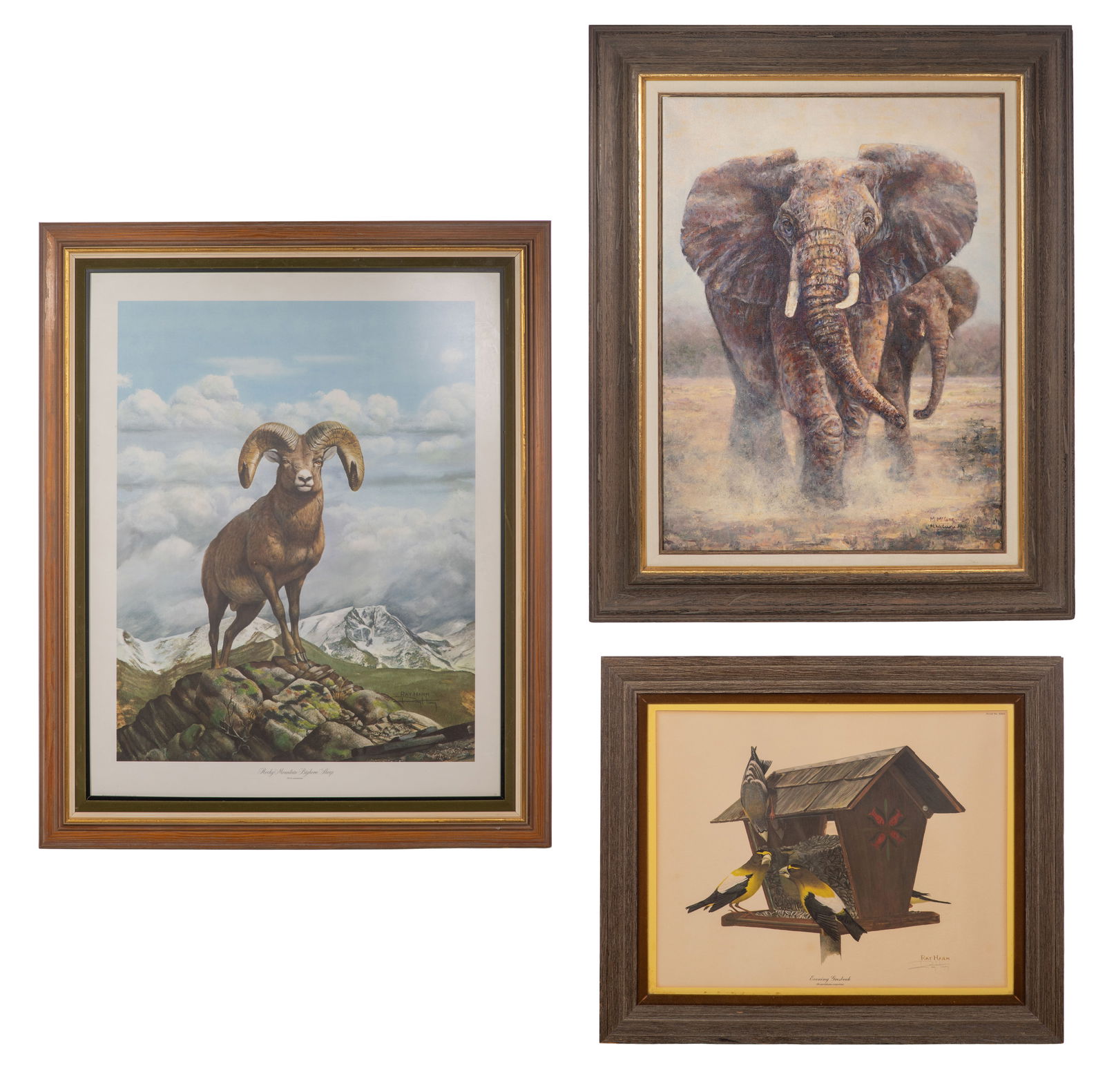 Bird and Animal Print Assortment (1 of 5)