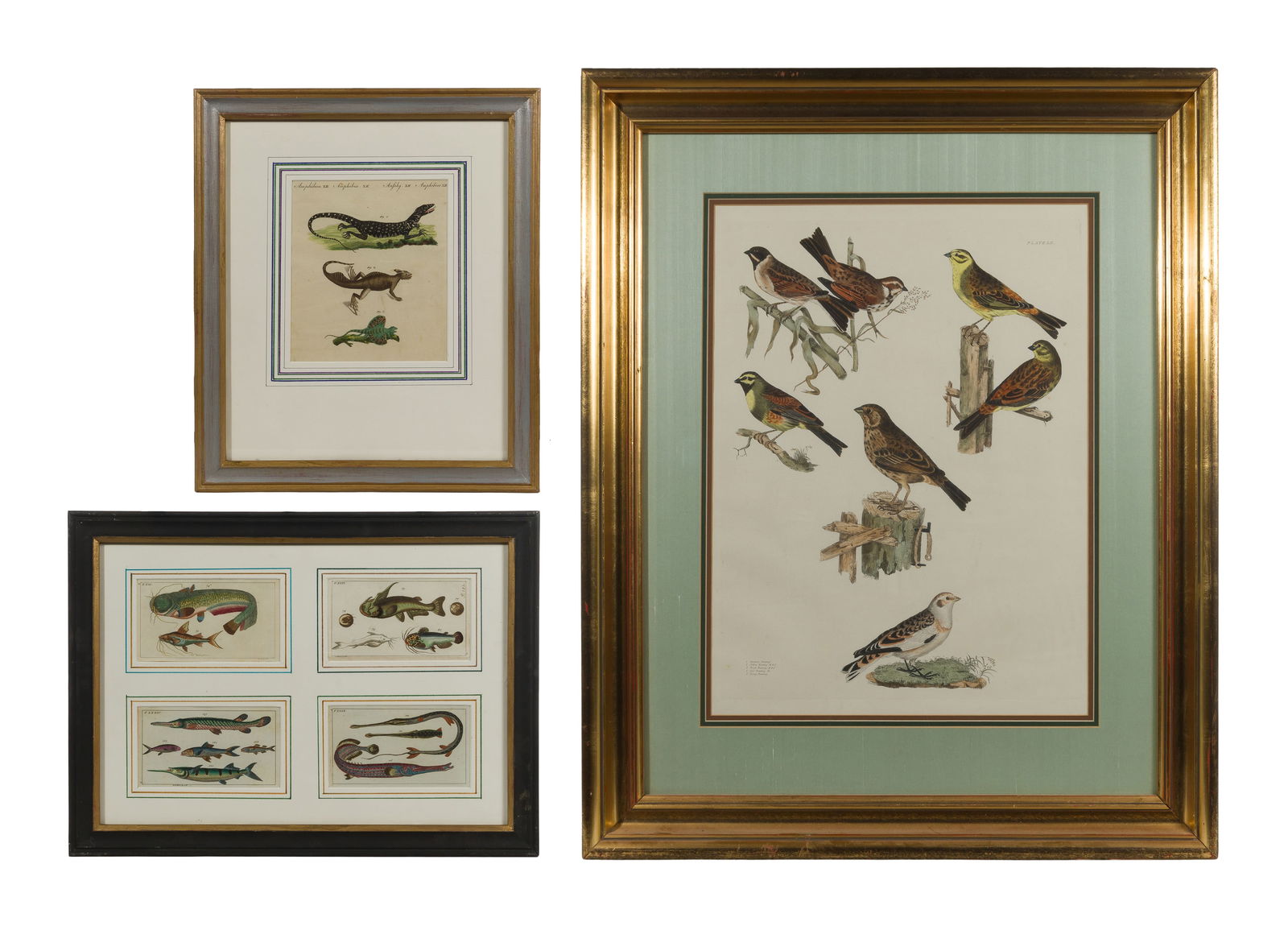 After Jacob Nilson (German, 1758-1811) Hand Colored Copper Plate Etching Assortment (1 of 1)