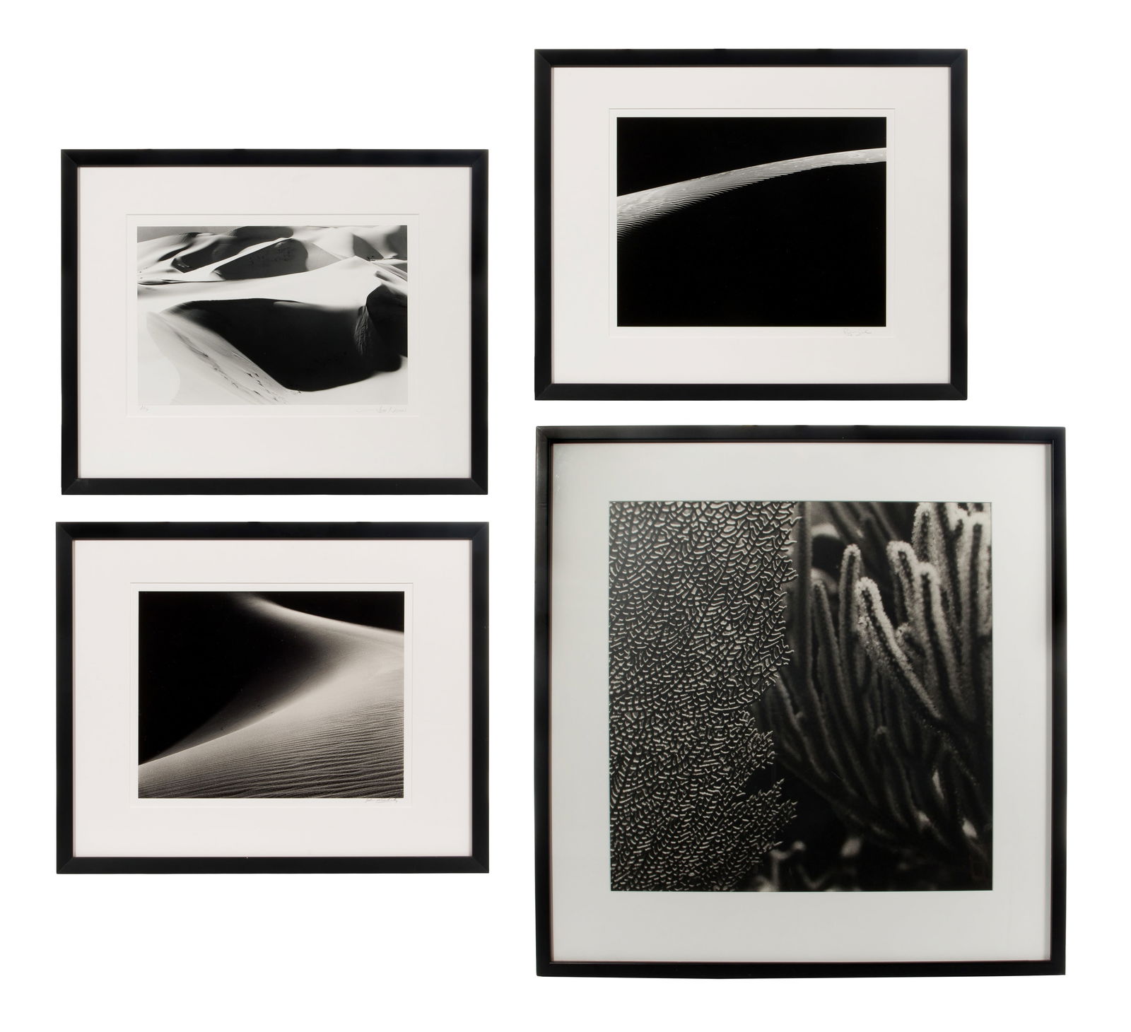 Gelatin Silver Print Assortment (1 of 1)