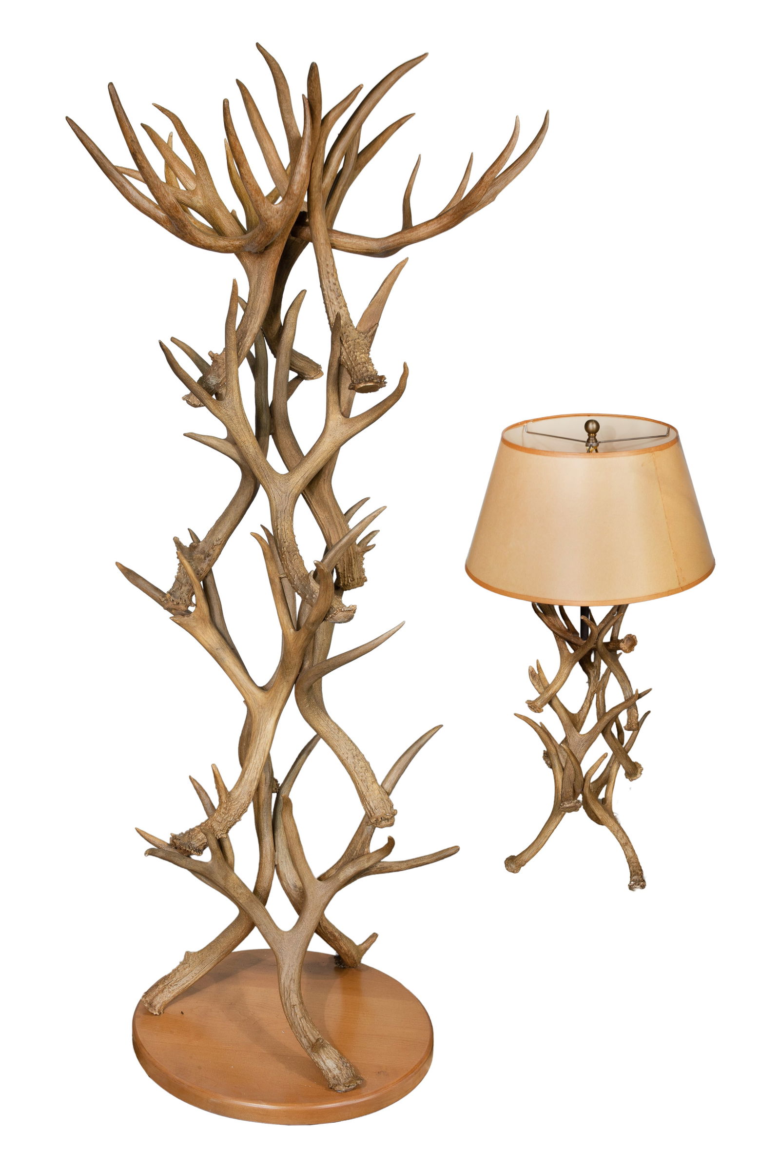 Antler Coat Rack (1 of 1)