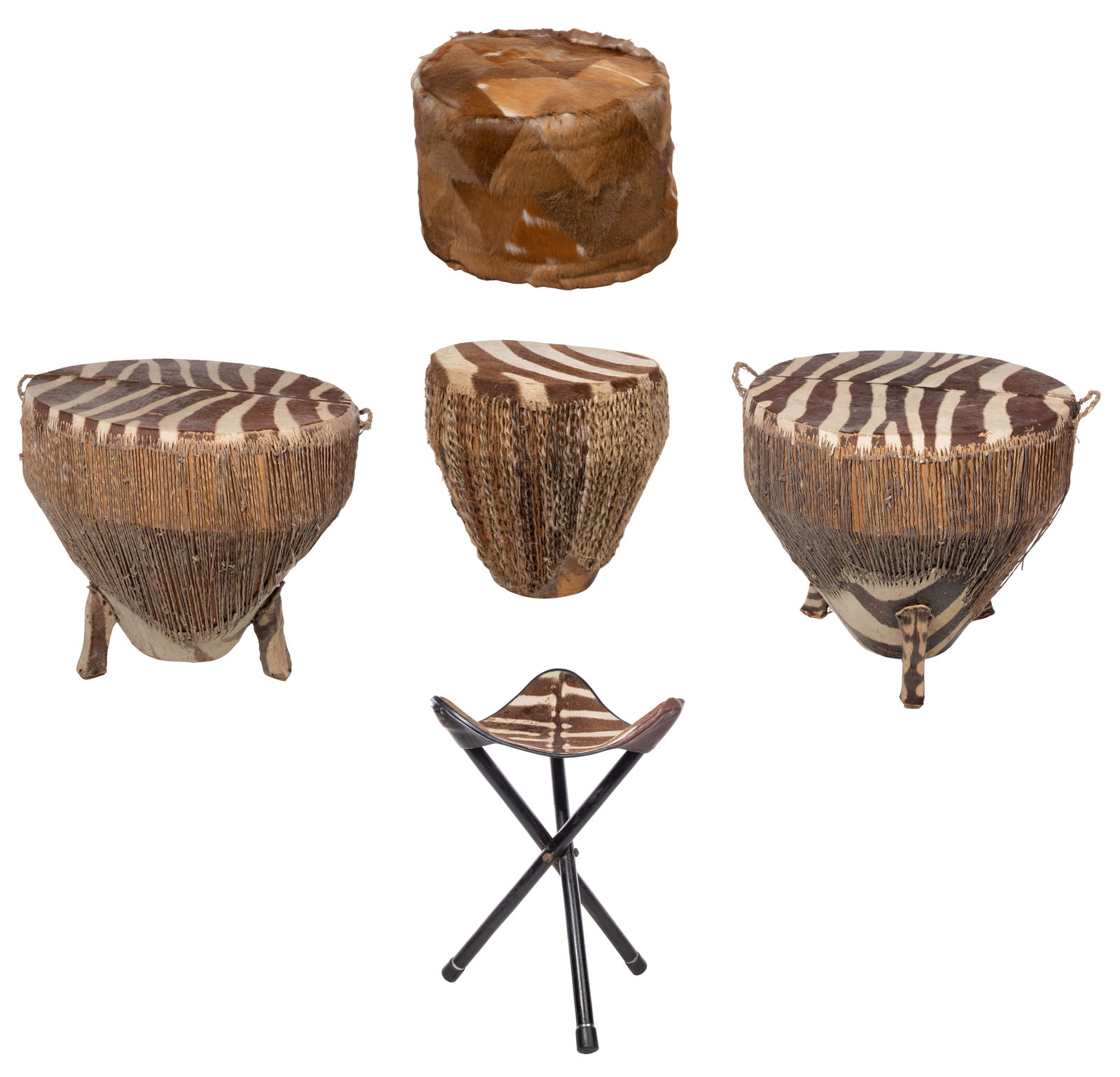 Zebra Hide Assortment (1 of 6)