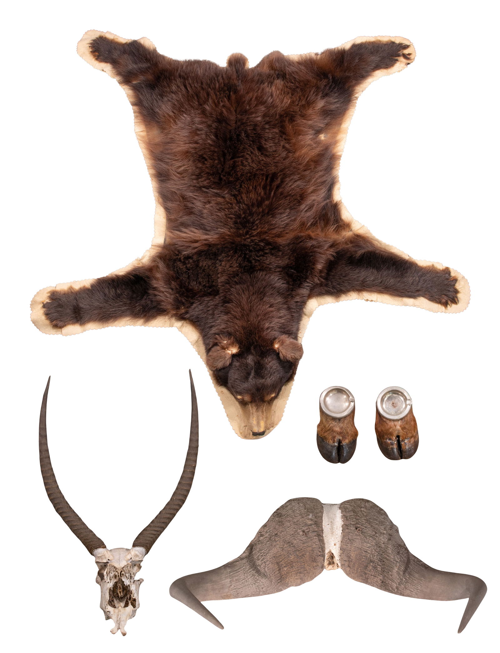 Taxidermy and Skull Assortment (1 of 10)