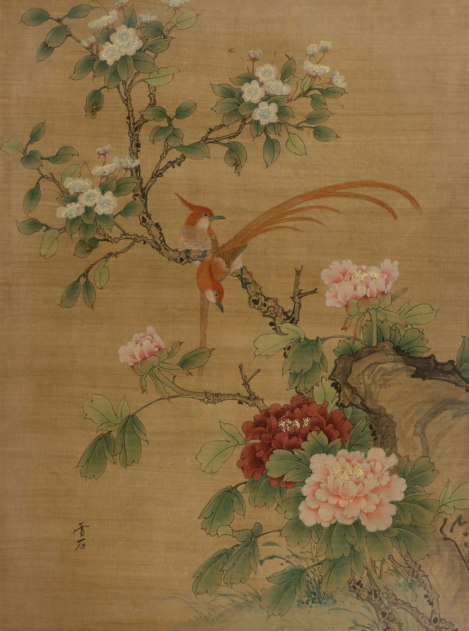Wong (Chinese, 20th Century) 'Peonies and Long Tail Brown Birds' Tempera on Silk: Wong (Chinese, 20th Century) 'Peonies and Long Tail Brown Birds' Tempera on Silk Undated, signed lower left having red chop-mark, depicting exotic birds on blossom branches, framed and matted under gl