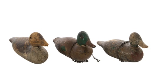 Duck Decoy Assortment