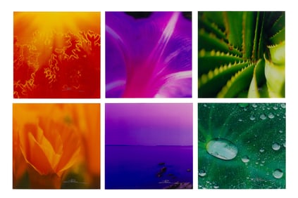 Peter Lik (American / Australian, b.1959) Color Photograph Assortment