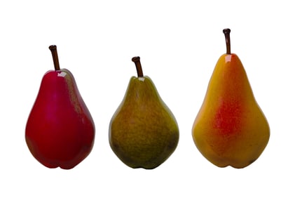 Cohn-Stone Studios Glass Pear Assortment
