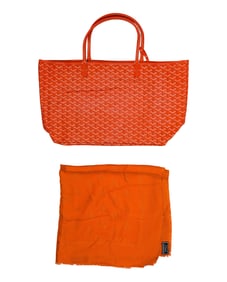 Goyard Tote and Scarf