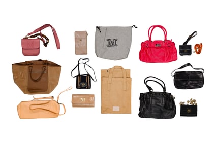 Designer Handbag Assortment