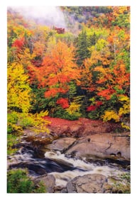 Peter Lik (Australian / American, b.1959) 'Swift River Mist' Silver Halide Print