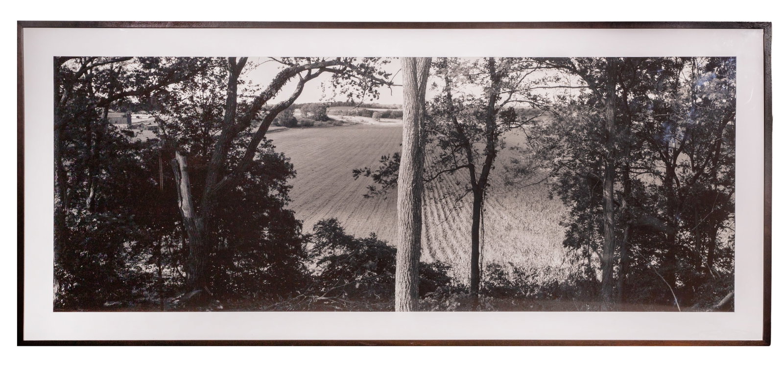 Gregory Conniff (American, b.1944) 'Dane County, Wisconsin' Photograph: Gregory Conniff (American, b.1944) 'Dane County, Wisconsin' Photograph 1997, no visible signature, label verso having artist and title, a black and white image depicting a plowed field on an American 