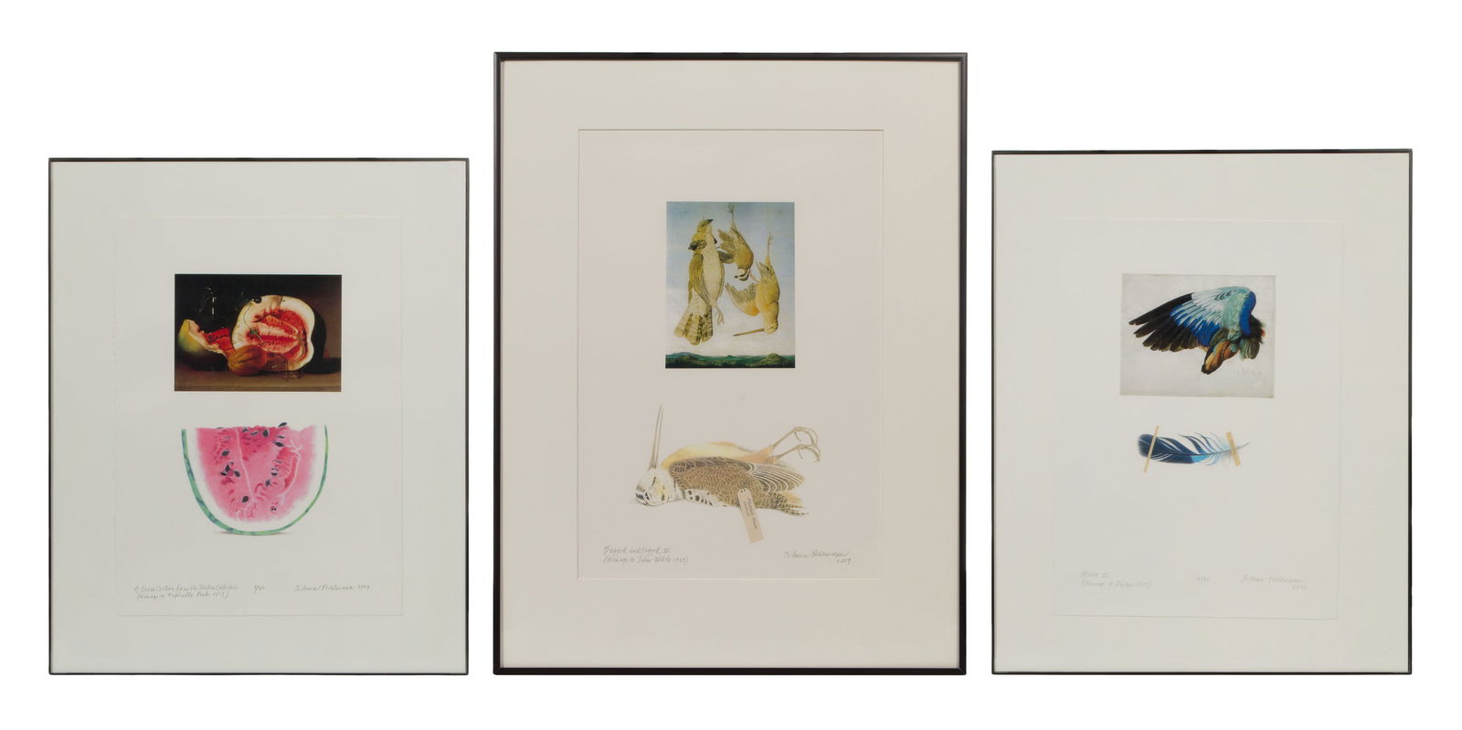 JoAnna Poehlmann (American, b.1932) Lithograph Assortment: JoAnna Poehlmann (American, b.1932) Lithograph Assortment (3) prints, all signed lower left including 2009 'Bagged and Tagged IV (Homage to John Wilde)' depicting birds after a hunt, 2010 'Moult VI' #