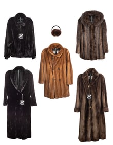 Fur Coat and Jacket Assortment