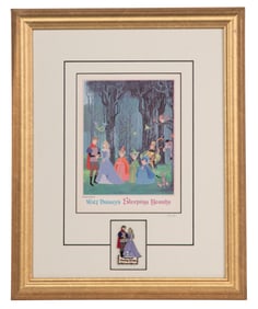 Disney 'Sleeping Beauty' Framed Limited Edition Pin