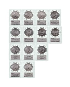 PCGS SP-70 Burnished Silver Eagle Collection
